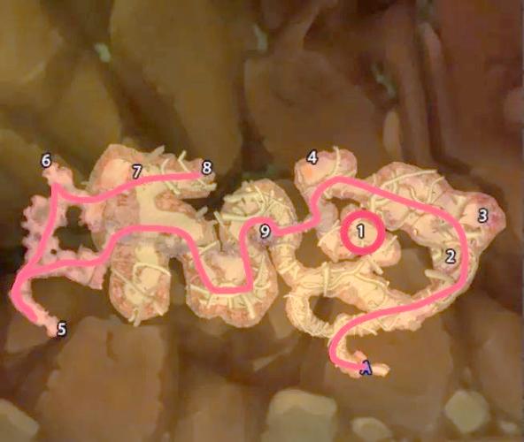 剃刀沼泽地图怎么走不迷路？避坑技巧轻松攻略！