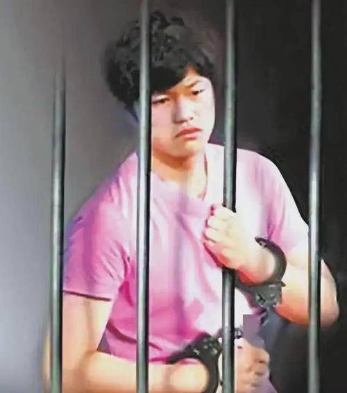 李天一判决影响几何?案件带来的五点社会思考