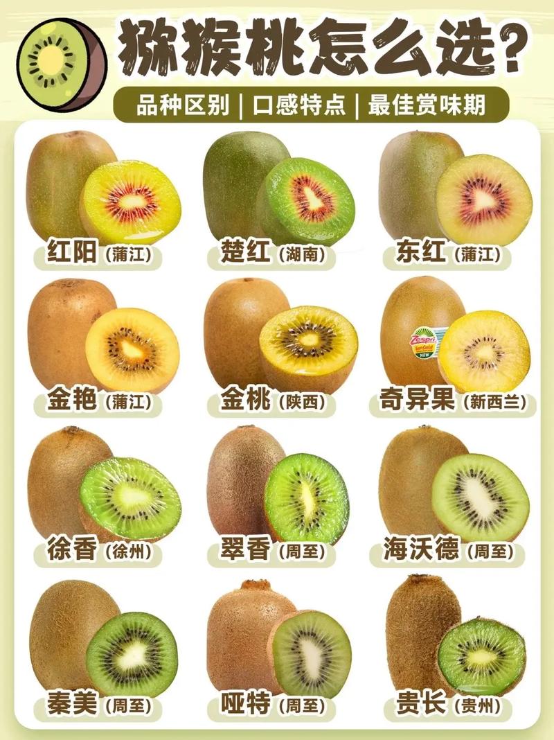 猕猴桃最初国家得名哪来?(一看就懂的历史来源)