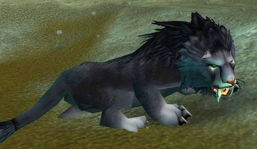抓到wow狮王休玛好处？实用价值分析！