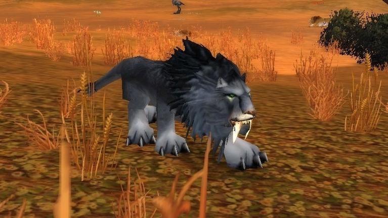 抓到wow狮王休玛好处？实用价值分析！
