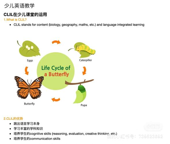 clicli新手如何快速入门？5个简易技巧轻松搞定基础操作！