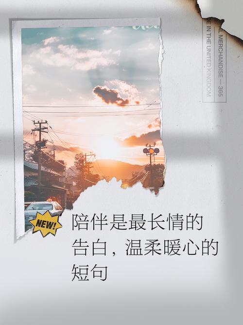 陪伴和温暖有多重要？感谢你给了我这份简单小确幸！
