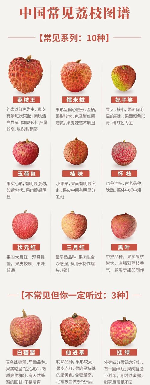 一骑红尘妃子笑时候吃到西红柿？(历史疑云真相曝光！)