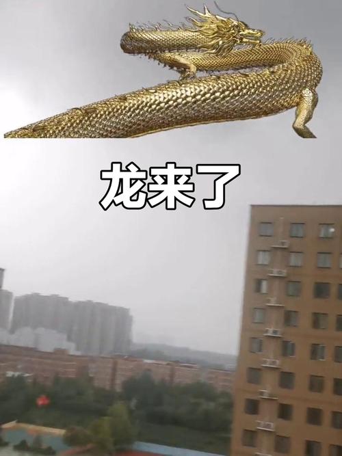 福州真龙什么梗是真是假网友这样分辨
