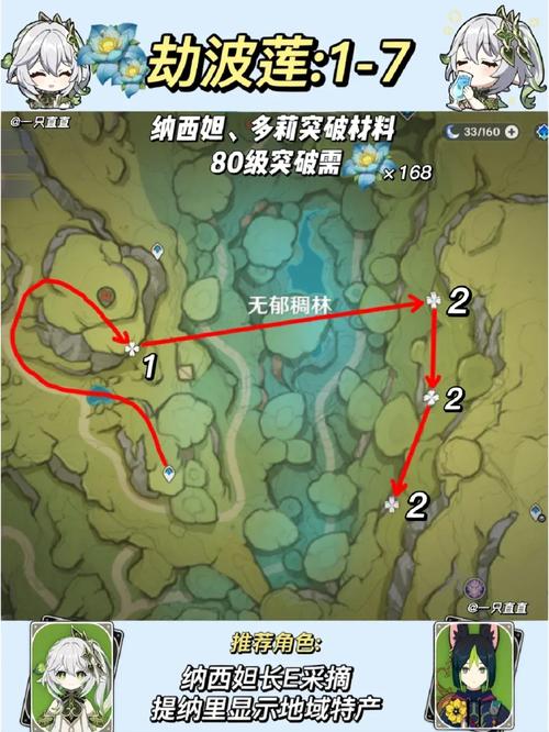 劫波莲采集路线优化技巧?老司机分享省时方法