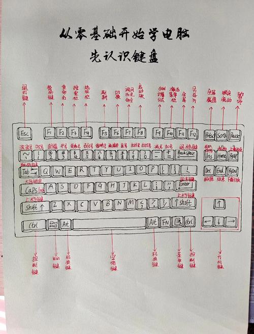 malody键盘设置优化(提升操作流畅度方法)