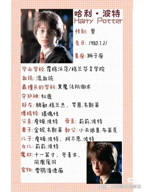 哈利波特2攻略哪个职业好用(这3个角色上手超简单)