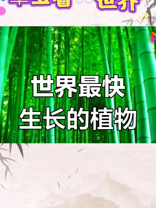 世界上长得最快的植物揭晓：它几周就能窜到几层楼高！