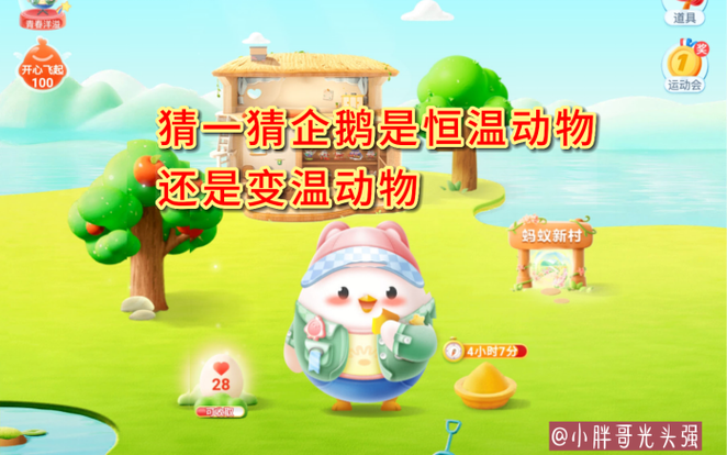 企鹅恒温动物还是变温动物困惑解答！三步学会辨真相