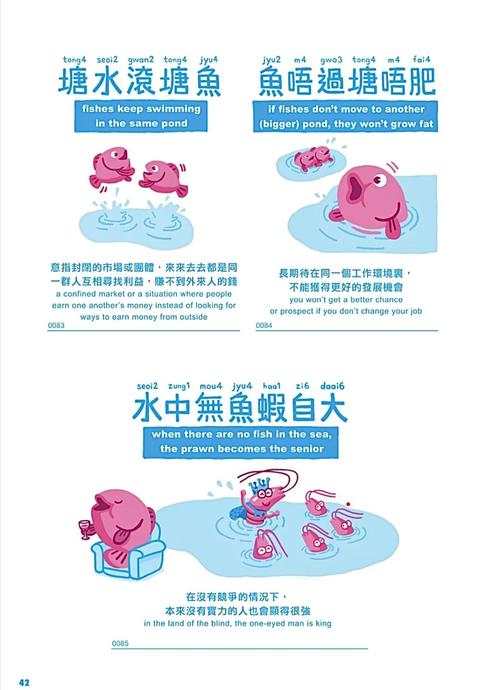 鱼 ova如何快速观看？(实用技巧省钱省时必备)