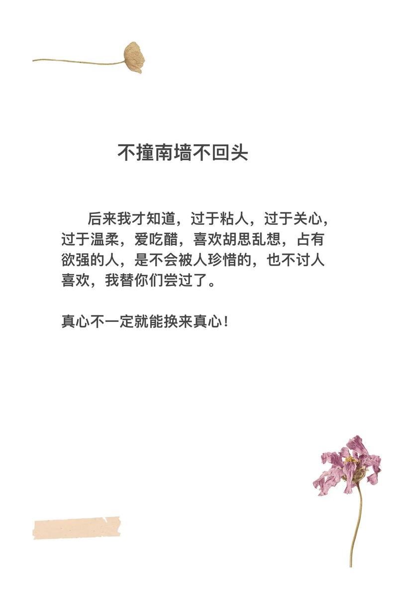 俗语不撞南墙不回头蚂蚁庄园是什么(蚂蚁庄园玩家快速入门指南)