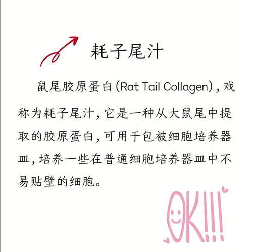 耗子为汁啥意思有啥用途?(了解它在交流中的好处和优势)