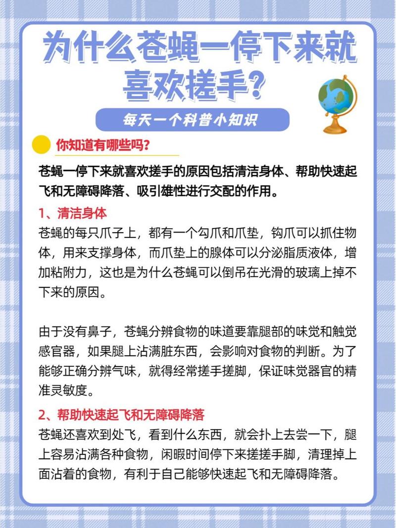 为什么苍蝇一停下来就会搓手?(5点生活影响必看)