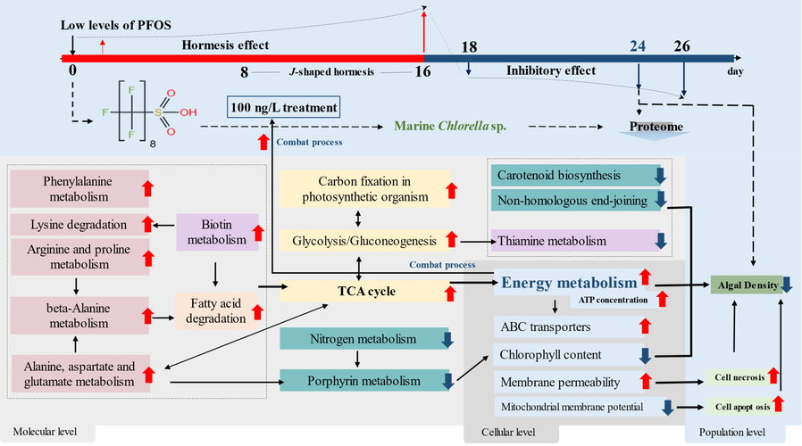 lulzsec事件影响深远吗？(专家解析安全防范方法)