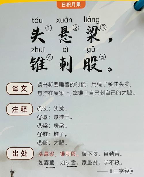 头悬梁锥刺股的股是大腿？看完这篇别再搞混了