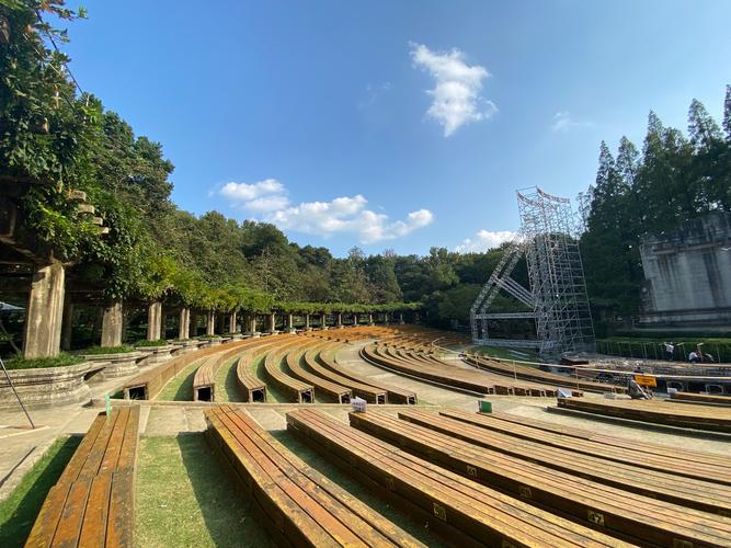 音乐台音悦台哪家好(热门音乐平台对比)