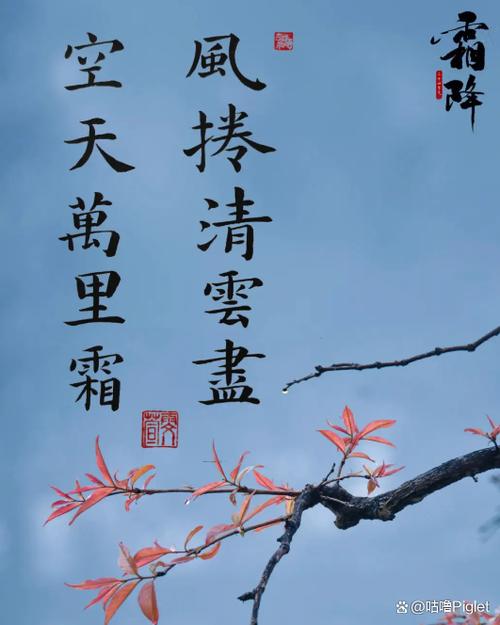 风卷清云尽蚂蚁工具优劣分析?试试这几种更好用!