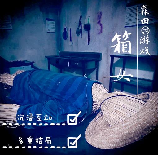 箱娘怎么玩高手分享？老司机经验传授秘籍！