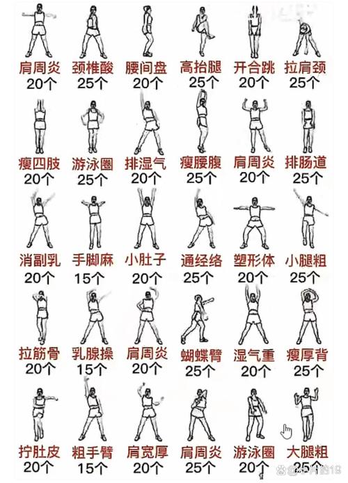 无双大蛇马术操作有诀窍?手把手教你玩转骑战技巧!