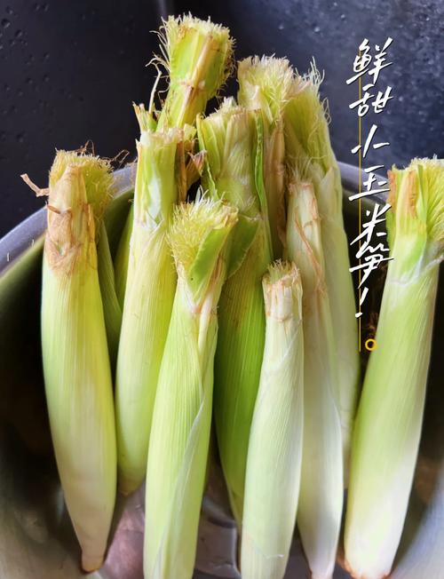 玉米笋就是小玉米?其实差别挺大,买前看清这点!