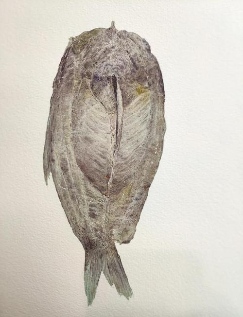 鱼儿嘴巴一张一合是干什么？(简单说清它在呼吸的原理！)