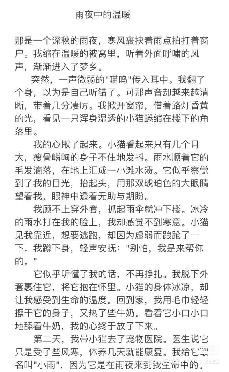 拯救小猫咪经验谈:老手教你避坑秘诀!