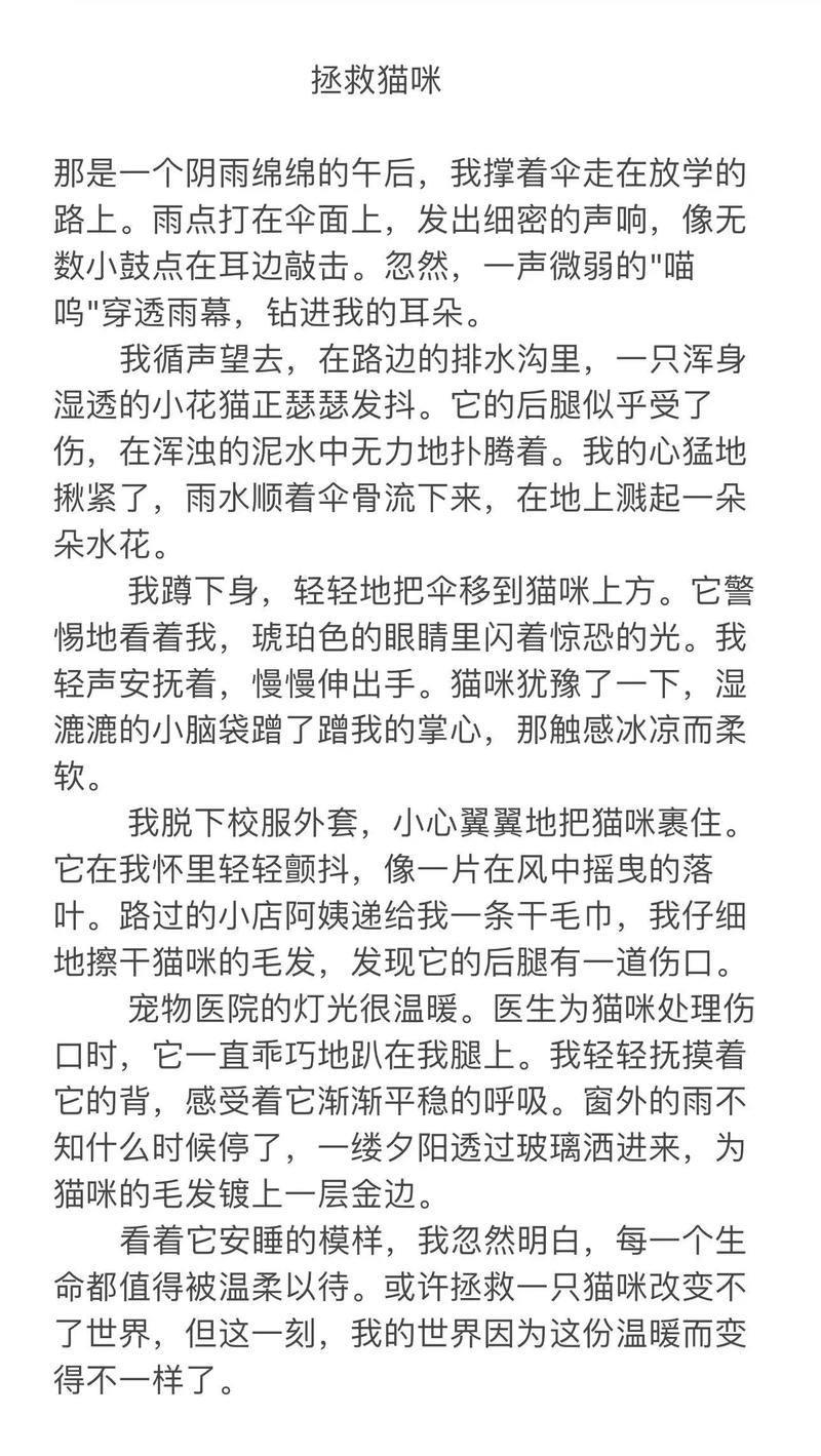 拯救小猫咪经验谈：老手教你避坑秘诀！