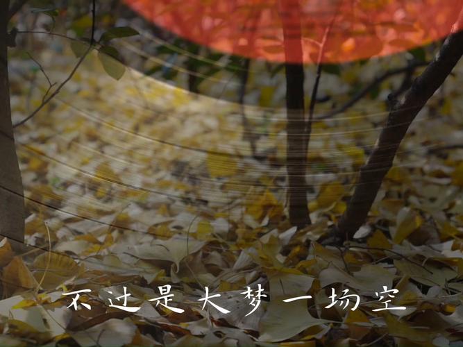 不过是大梦一场空 不过是孤影照惊鸿，为啥常说人生是场空欢喜？（揭秘背后深意）