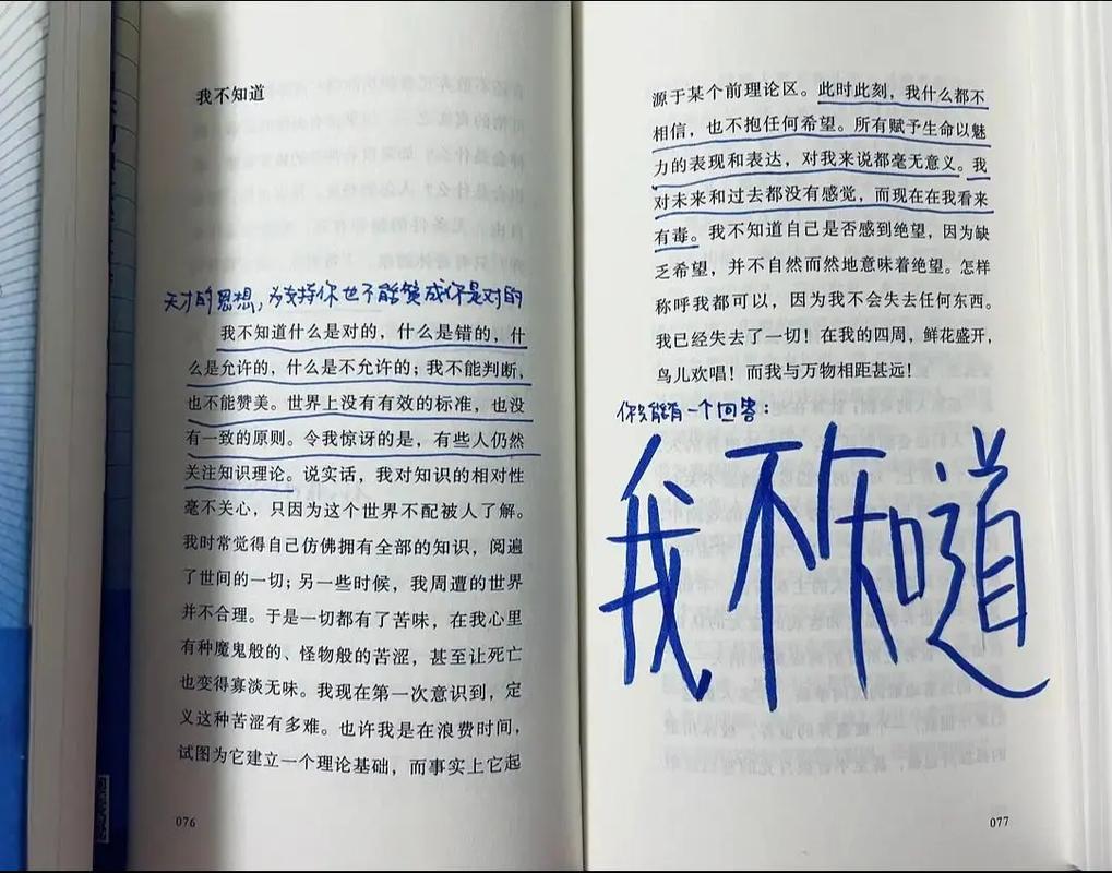 如何理解因为我不知道下一辈子还是否能遇见你的含义?从情感角度深度剖析!