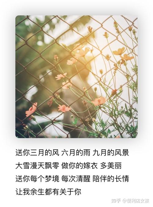 送你三月的风六月的雨九月的风景是什么歌？(歌词解析与情感深度分享！)
