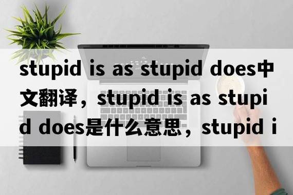 新手必看:stupid-girl.zip下载避坑指南三步搞定