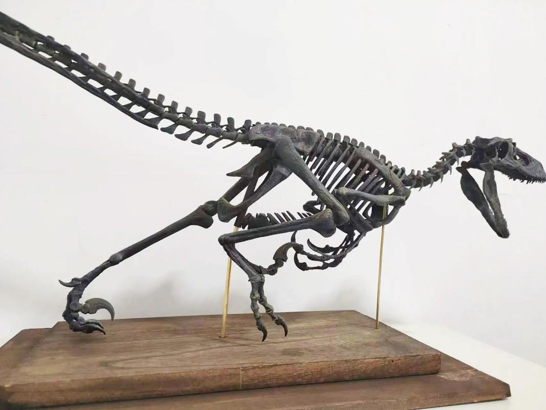 白色迅猛龙有什么特殊基因？科学家这样解释其来源！