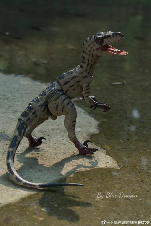 白色迅猛龙有什么特殊基因?科学家这样解释其来源!