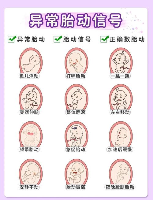 胎动随心记能看出啥？解读宝宝胎动的小秘密