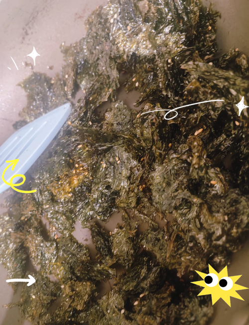 海苔制作离不开它！核心海藻原料原来是这种紫菜