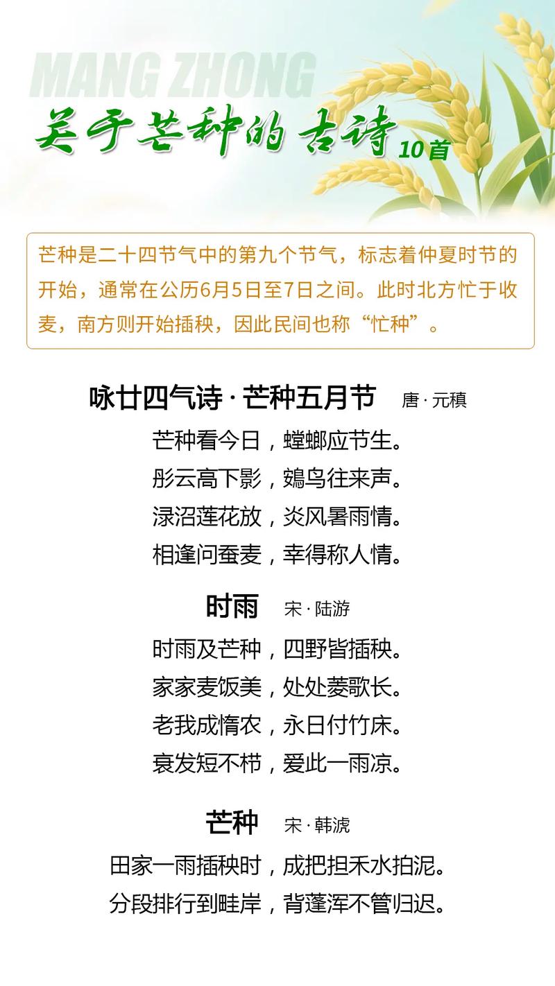 古诗里的芒种标识是什么?陆游时雨及芒种成经典参照