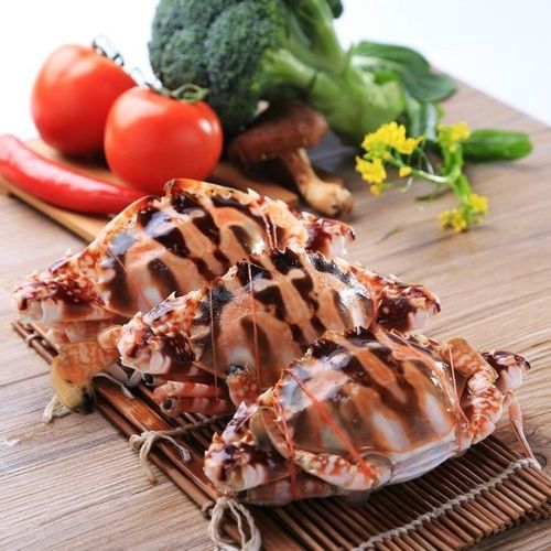 解答海洋之舟是以下哪种动物的别称?老司机教你3步搞定