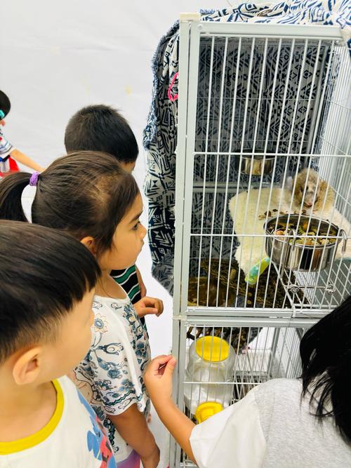 疯狂的松鼠行为大揭秘，这些你见过吗