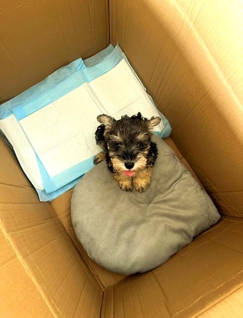 狗窝游戏盒有啥用？这几个功能让你玩到嗨！