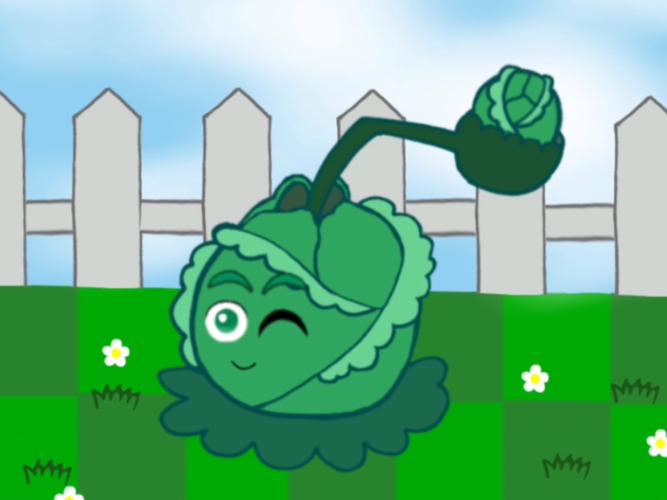 卷心菜投手怎么选?避开误区专家选购建议!