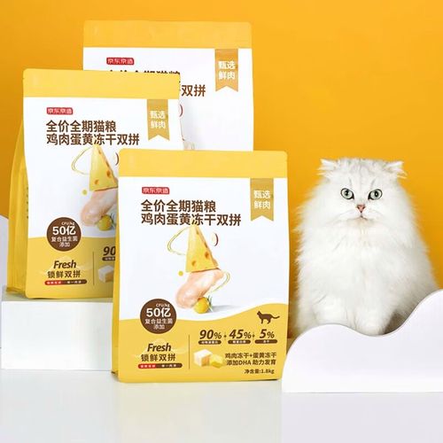 盯档猫更新地址官方版在哪里？认准这个渠道下载不迷路！