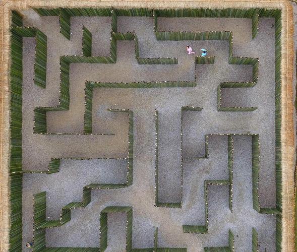 MazeCave游戏官网有什么活动？新手福利和更新一览！