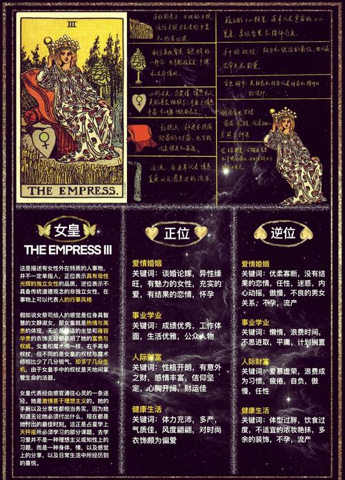 十二位女神官方网站手机怎么登录？移动端访问教程来了！