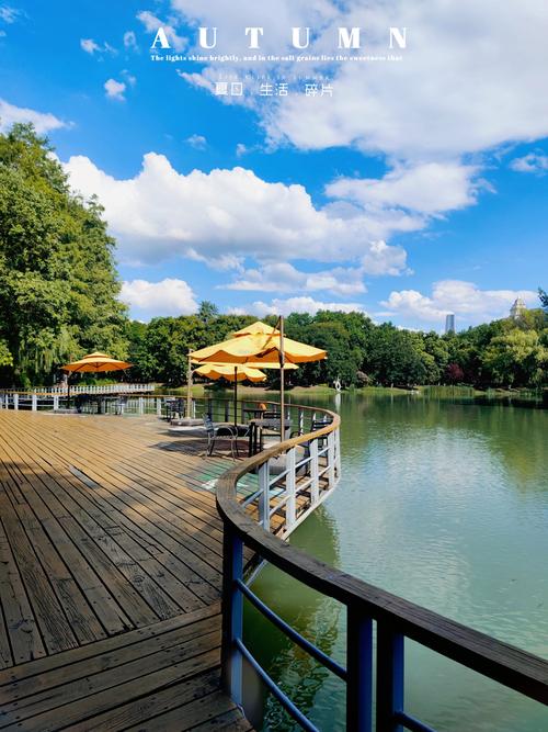 如何查找夏日小公园的厕所更新地址？官方指南已发布！