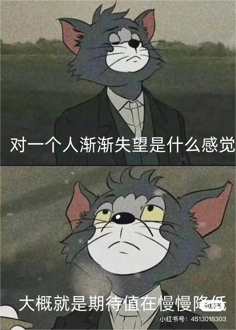 他的赌注,她的损失安卓好玩吗?真实玩家评价和试玩感受分享。