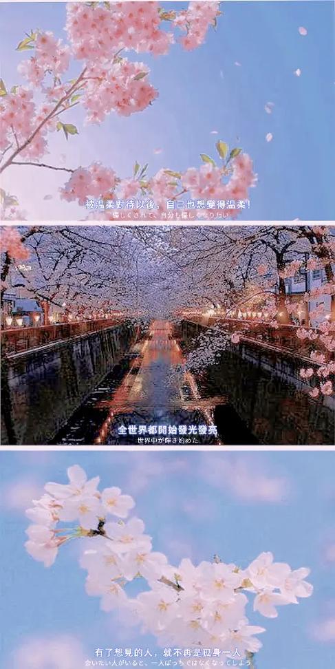 手机能玩红樱公馆2汉化版下载吗?安卓PC通用详细教程!