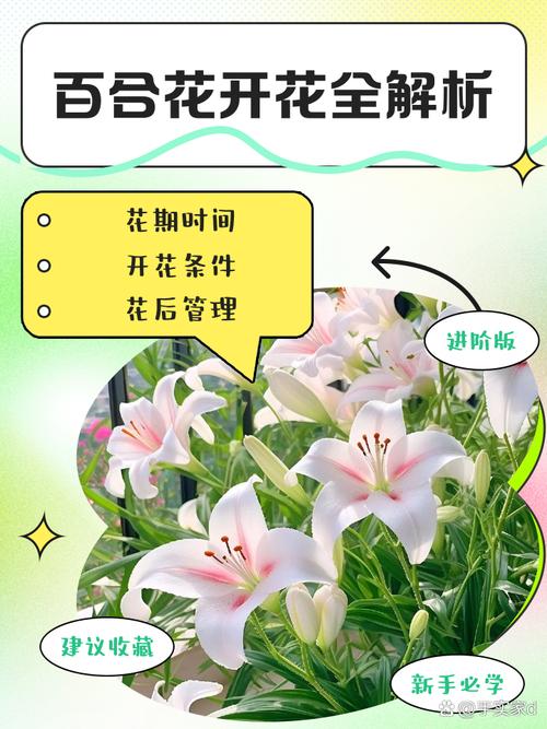 为什么大家都在讨论花冈实太?他究竟有何特殊之处?