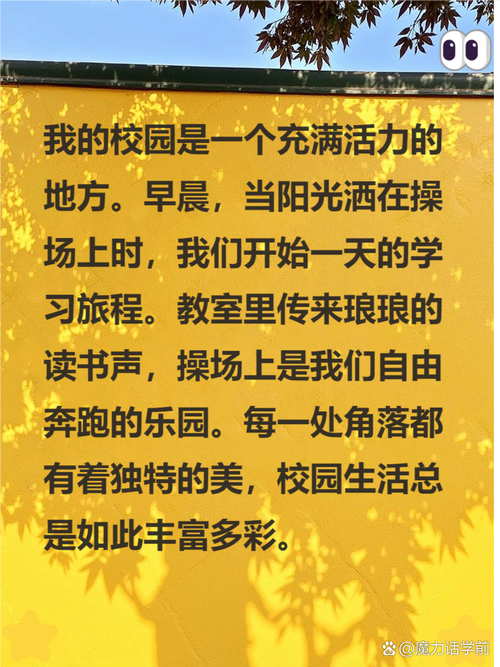 什么是阳光校园？它对孩子的身心健康意味着什么？