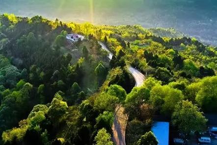 国内城市森林哪里做得好？这几个成功的案例值得一看！